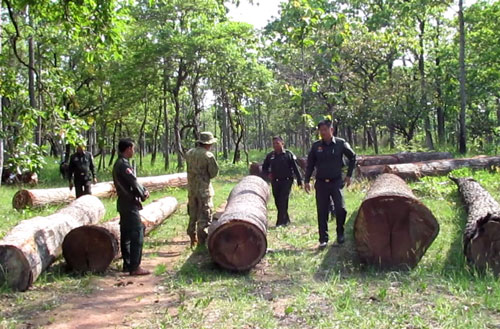 ​ឈើមូល​រាប់រយ​កំណាត់​ត្រូវ​កម្លាំង​កងរាជអាវុធហត្ថ​រុករក​ឃើញ​