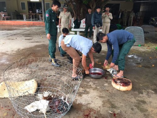 ​កំទេច​មាន់​ជល់​៩២​ក្បាល​ជា​ភស្តុតាង​បទល្មើស នៅ​ឃុំ​អរិយ​ក្សត្រ​មា​ន័យ​ថា​គេ​ចង់​គ្រប​ទុក​បទ​ល្មើស​ហើយ​?