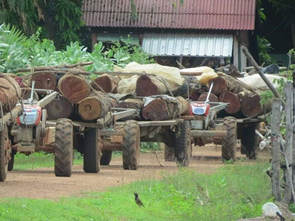 ​លោក សំ ឬ​ទ្ធី មេព្រៃរ​មាស​ផ្តាំ​ឲ្យ​កាសែត​ចាប់​បទល្មើស​ឈើ​ជំនួស​?!