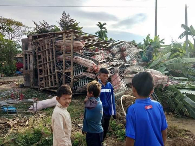 ​ដឹក​ជ្រូក​សៀម​មក​ក្រឡាប់​នៅ​បាត់ដំបង​