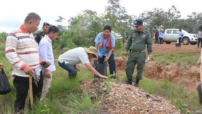 ​ចៅហ្វាយខេត្ត​ស្ទឹងត្រែង​នាំគ្នា​បណ្តុះ​គ្រាប់ត្នោត​តាម​ព្រុំដែន​ឡាវ​